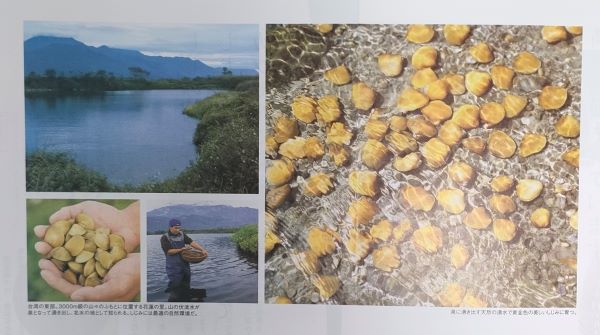 台湾東部の花蓮の里