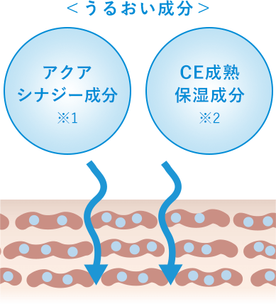 IHADA化粧水の潤い成分のイラスト