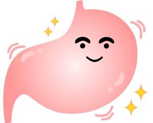 ピカピカの胃のイラスト