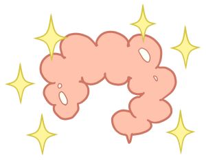 ピカピカの腸のイラスト
