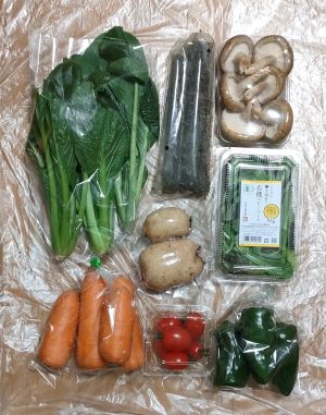 ビオ・マルシェの多彩セットの8種類の野菜の全体像