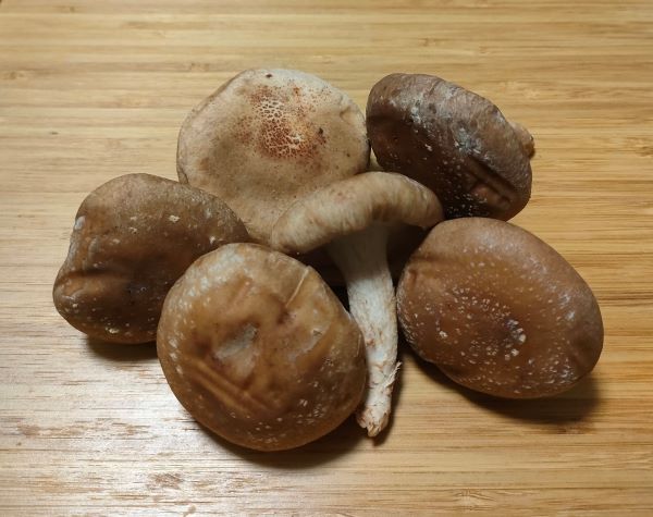 ビオ・マルシェの生椎茸
