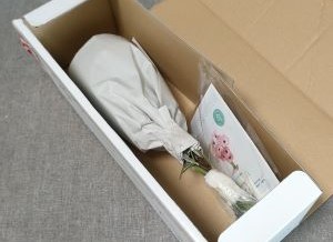 AND PLANTS お花の定期便の段ボールを開梱した状態