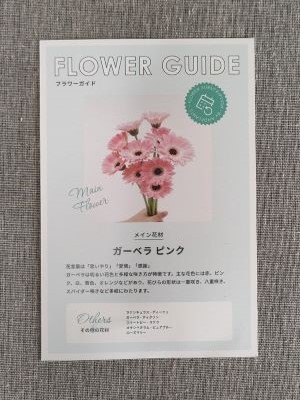 AND PLANTS お花の定期便の説明書表面