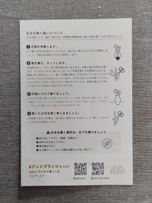 AND PLANTS お花の定期便の説明書裏面