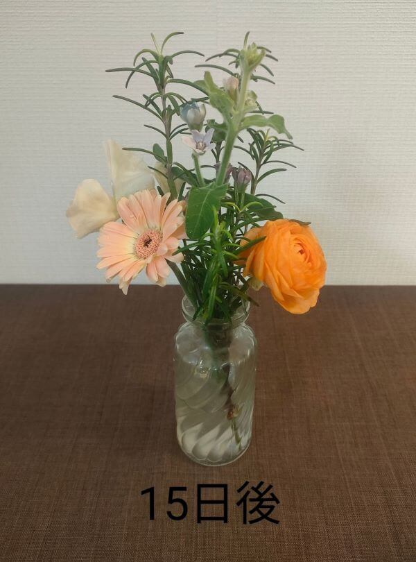 AND PLANTS お花の定期便 スタンダードプランの15日後のお花