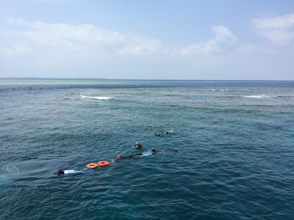 f:id:madamecobu:20180610100601j:plain f:id:madamecobu:20180610100601j:plain