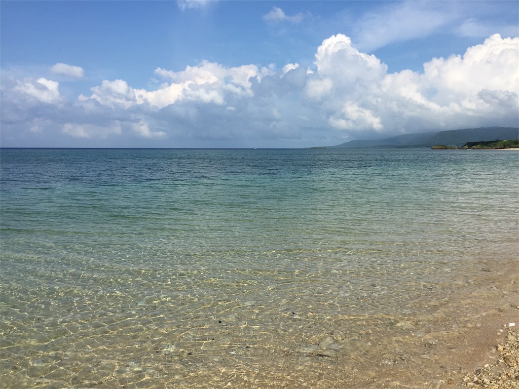 f:id:madamecobu:20180831221205j:plain f:id:madamecobu:20180831221205j:plain