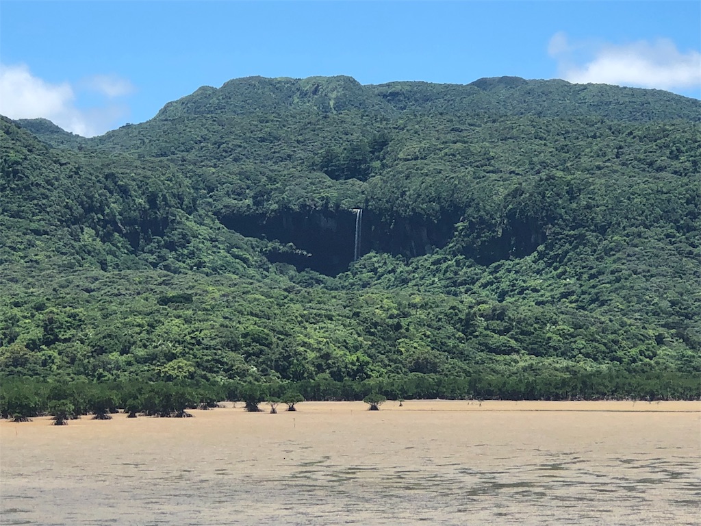 f:id:madamecobu:20180902090650j:plain f:id:madamecobu:20180902090650j:plain