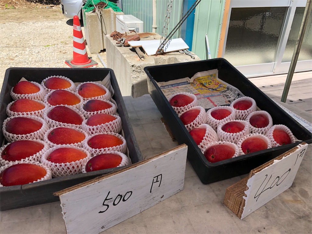 f:id:madamecobu:20180902090716j:plain f:id:madamecobu:20180902090716j:plain