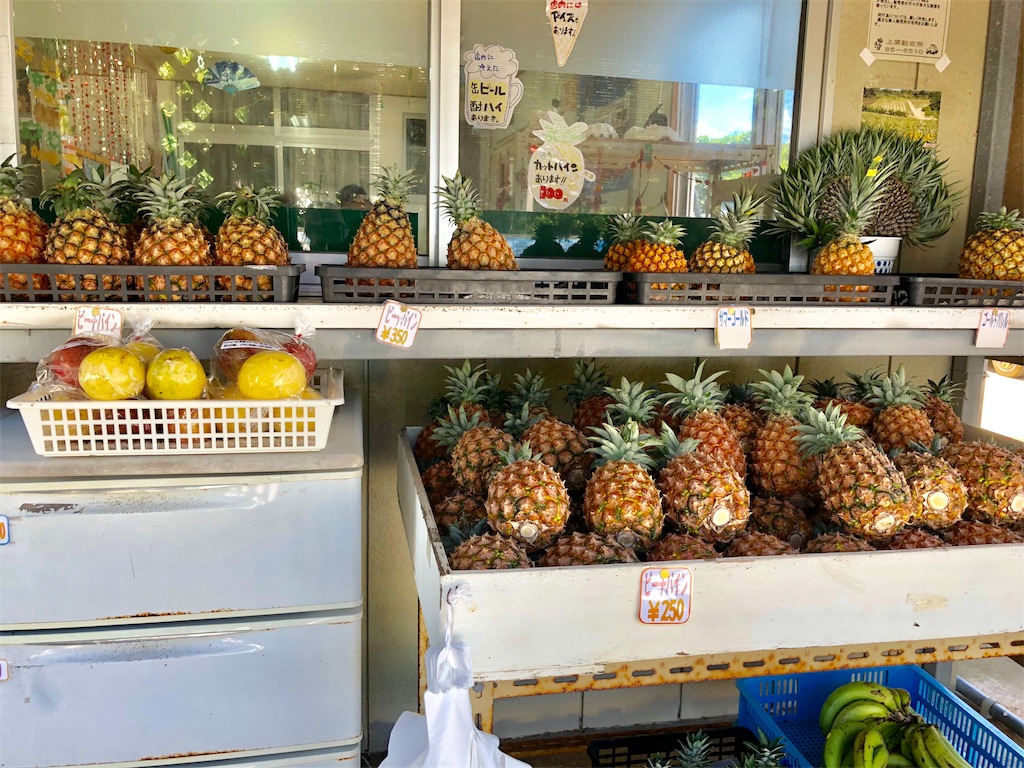 f:id:madamecobu:20180902090738j:plain f:id:madamecobu:20180902090738j:plain