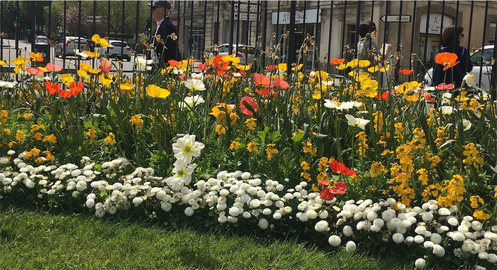 f:id:madamedidiclaire:20190420153354j:image f:id:madamedidiclaire:20190420153354j:image