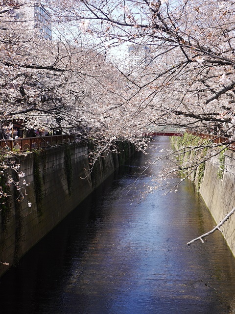 f:id:madameokami:20200325145320j:plain