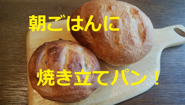 f:id:madameokami:20200617171913j:plain f:id:madameokami:20200617171913j:plain