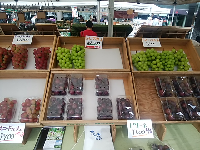 f:id:madameokami:20201004155404j:plain f:id:madameokami:20201004155404j:plain