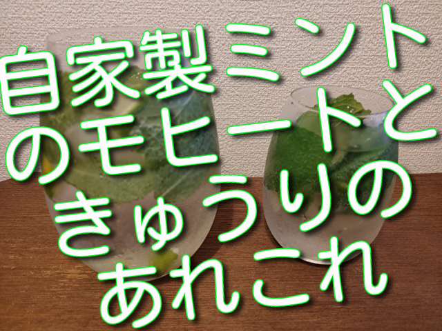 f:id:madameokami:20210704124917j:plain