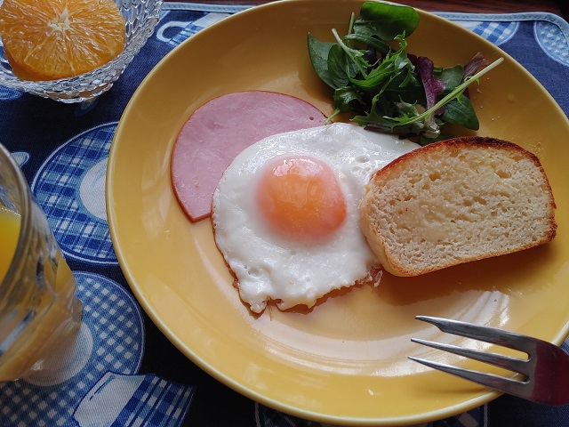 f:id:madameokami:20220129123336j:plain