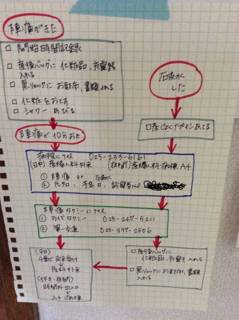 陣痛が来た時のフローチャート 10か月 ひつじ的な毎日