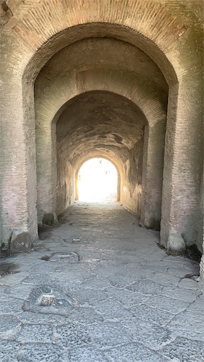 f:id:madamlapin:20191114123607j:image