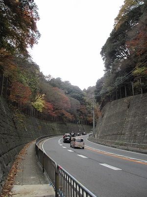 イメージ 17