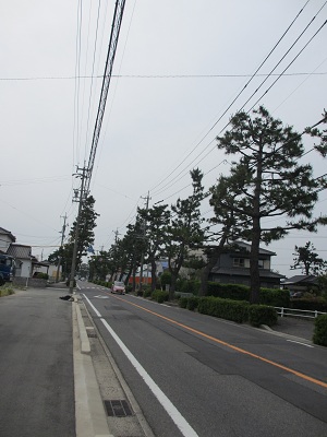 イメージ 13