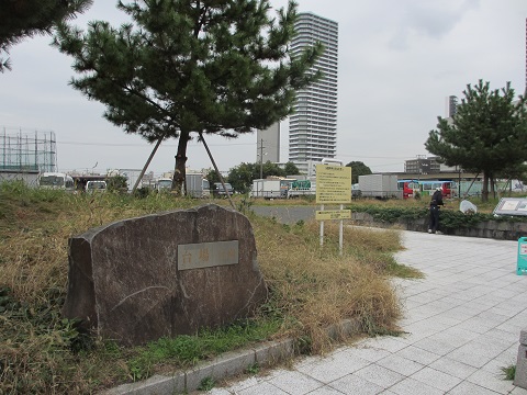 イメージ 8