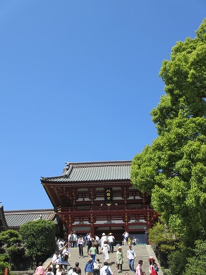 イメージ 20