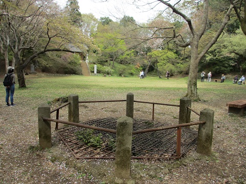 イメージ 15