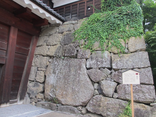 イメージ 6