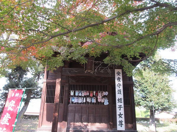 イメージ 13