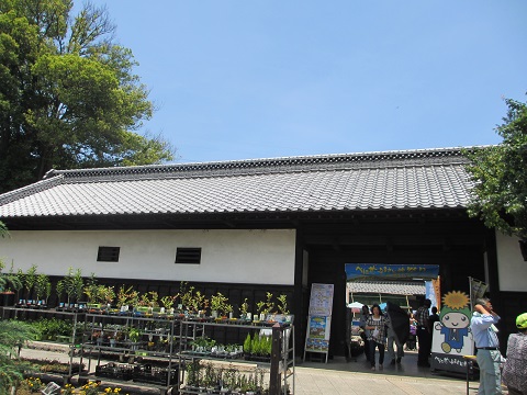 イメージ 23