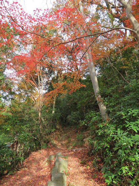 イメージ 3