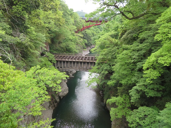 イメージ 10