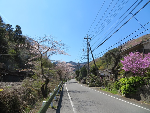 イメージ 32
