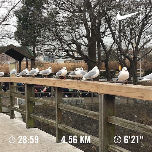 f:id:madara-neco:20190112133615j:image f:id:madara-neco:20190112133615j:image
