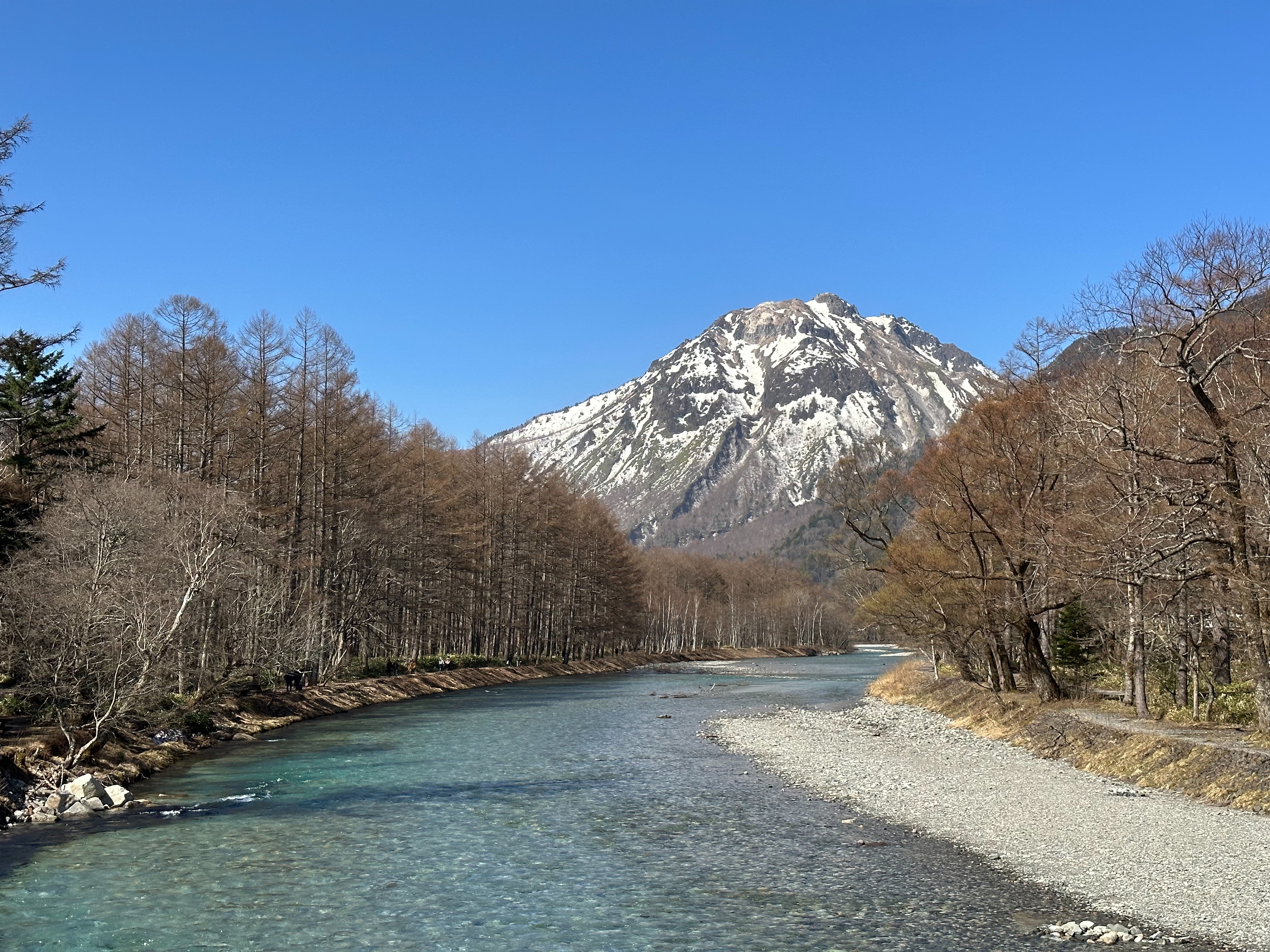f:id:madara299:20230425172442j:image