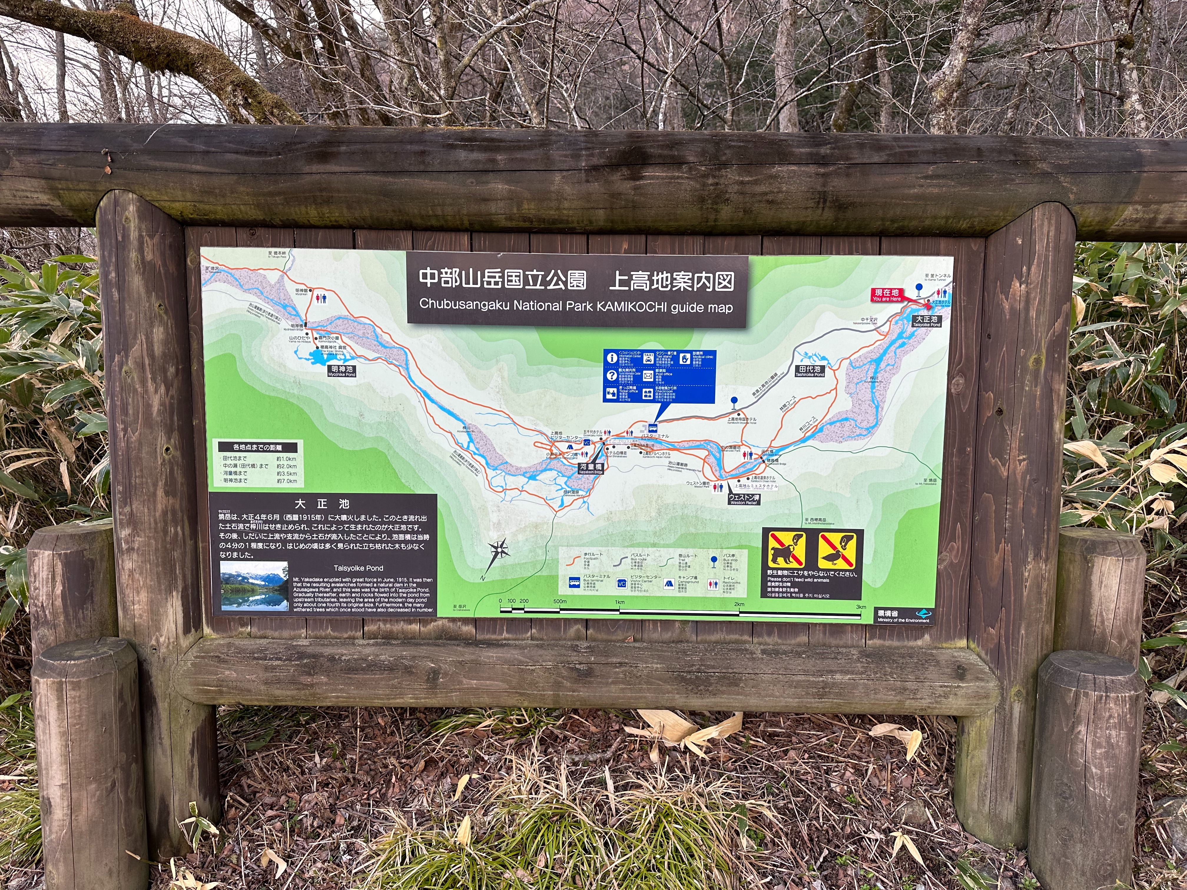 f:id:madara299:20230425172823j:image