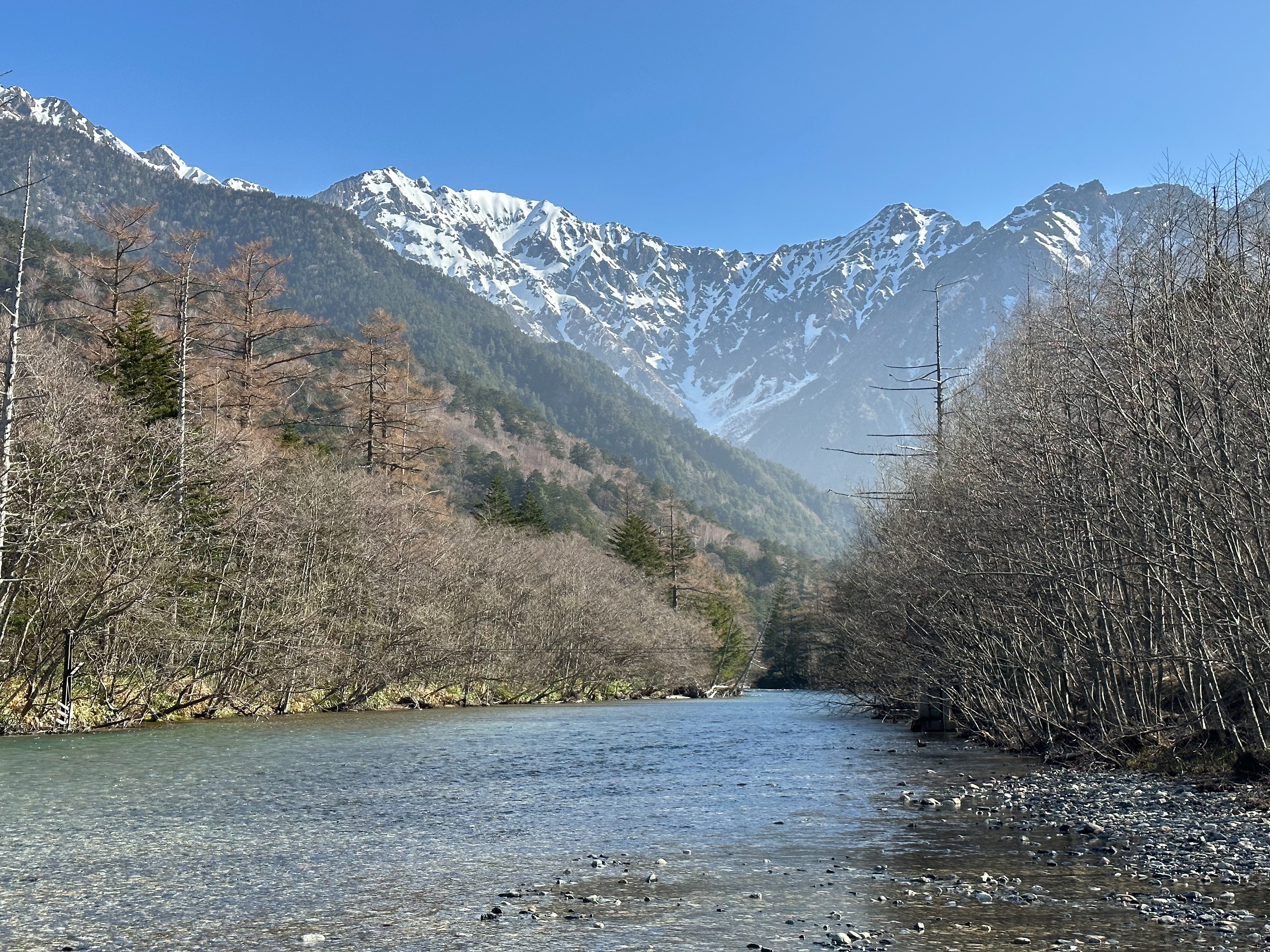 f:id:madara299:20230425174135j:image