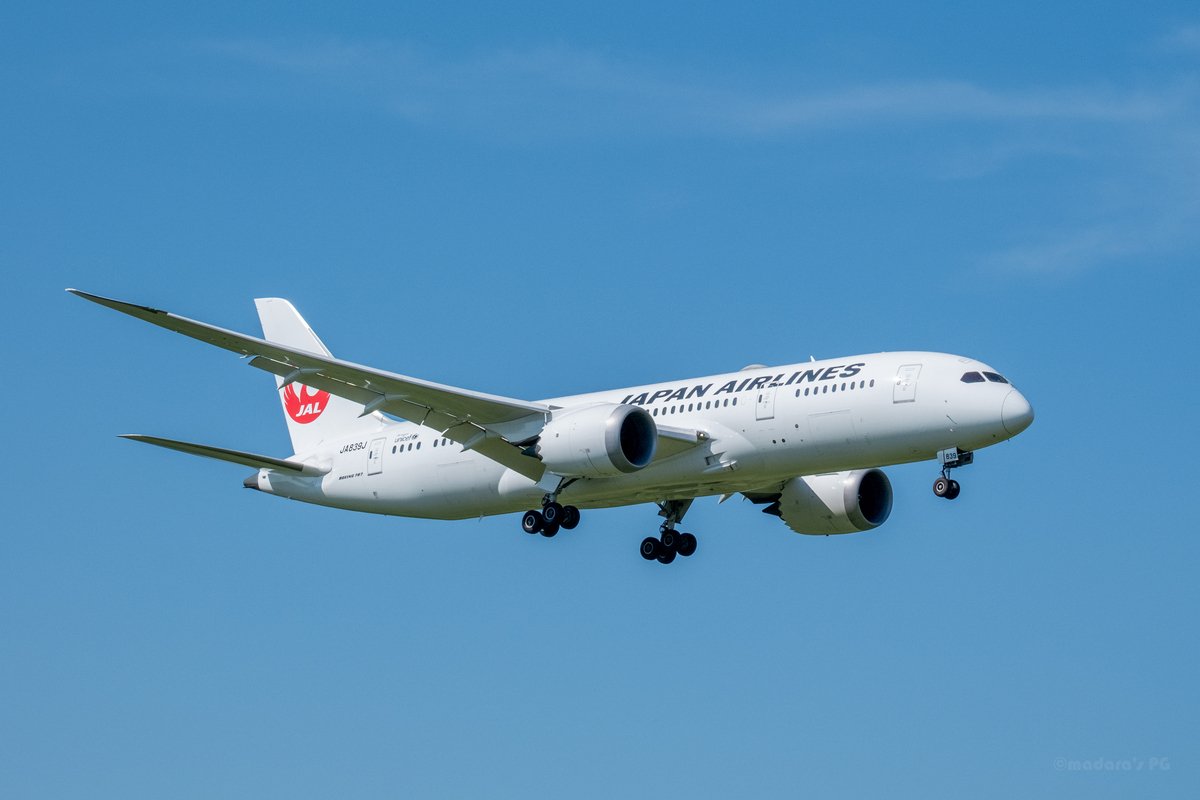 成田空港　一番機　写真 成田空港 一番機 写真