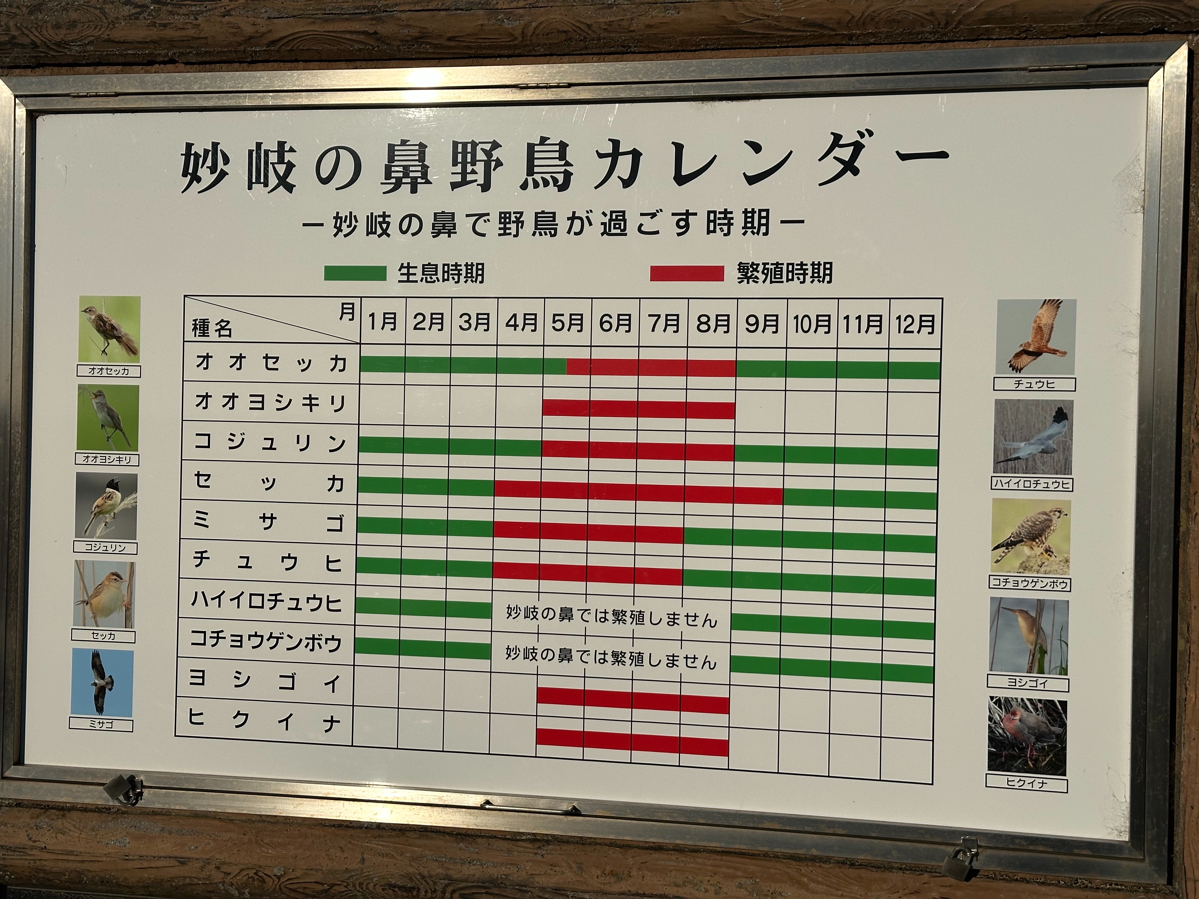 f:id:madara299:20250211205807j:image