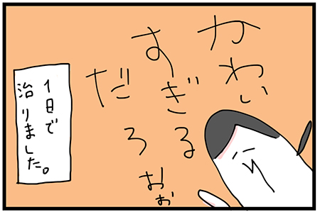 f:id:madatamago:20180312154254j:plain