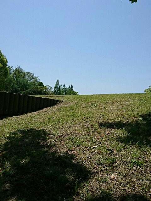 f:id:madatsubomi:20180507011858j:image f:id:madatsubomi:20180507011858j:image