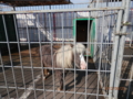 f:id:madbison:20120826214313j:image:medium f:id:madbison:20120826214313j:image:medium