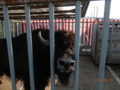 f:id:madbison:20120826214332j:image:medium f:id:madbison:20120826214332j:image:medium