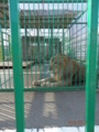 f:id:madbison:20120826214404j:image:medium f:id:madbison:20120826214404j:image:medium