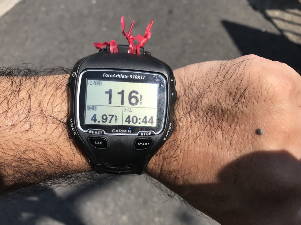 愛機garmin910xtj ベルト問題発生 走れダイエットランナー 愛機garmin910xtj ベルト問題発生 走れダイエットランナー