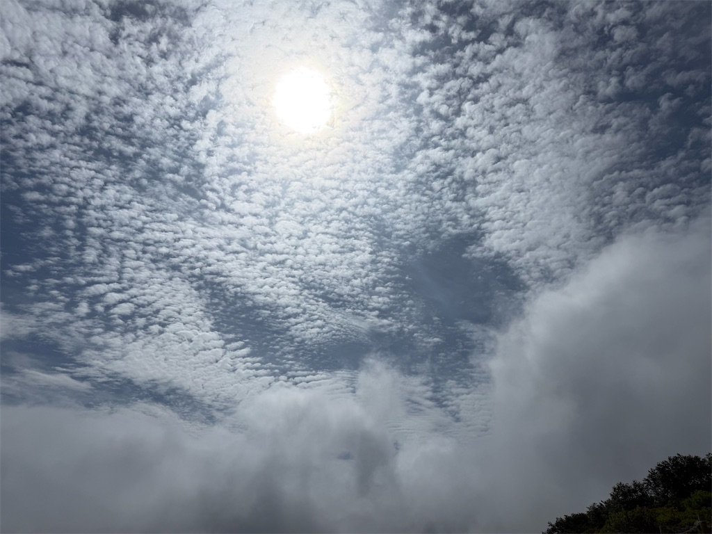 f:id:maderon:20260711164441j:image f:id:maderon:20260711164441j:image