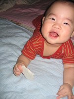 f:id:madmomo:20060724161844j:image