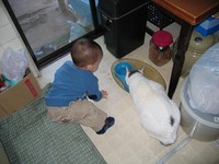 f:id:madmomo:20061107153144j:image f:id:madmomo:20061107153144j:image