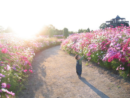 f:id:madmomo:20071014170745j:image f:id:madmomo:20071014170745j:image